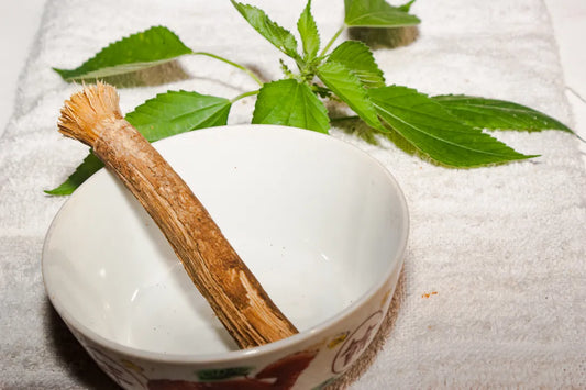 Siwak, avant et après : avis de MAA Coaching