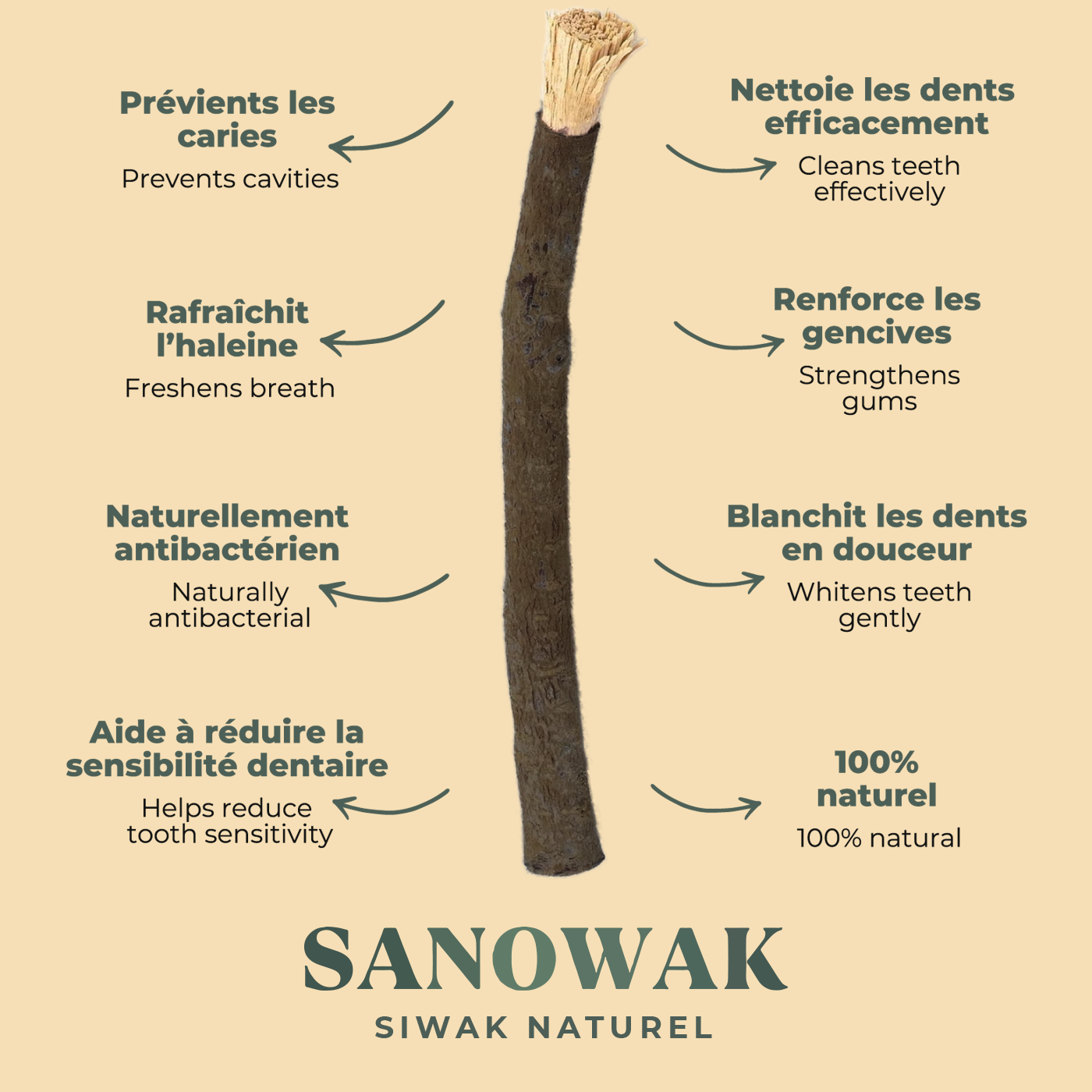 Kit Siwak Noir d'Olivier : 5 Bâtons de Siwak + 1 Porte-Siwak