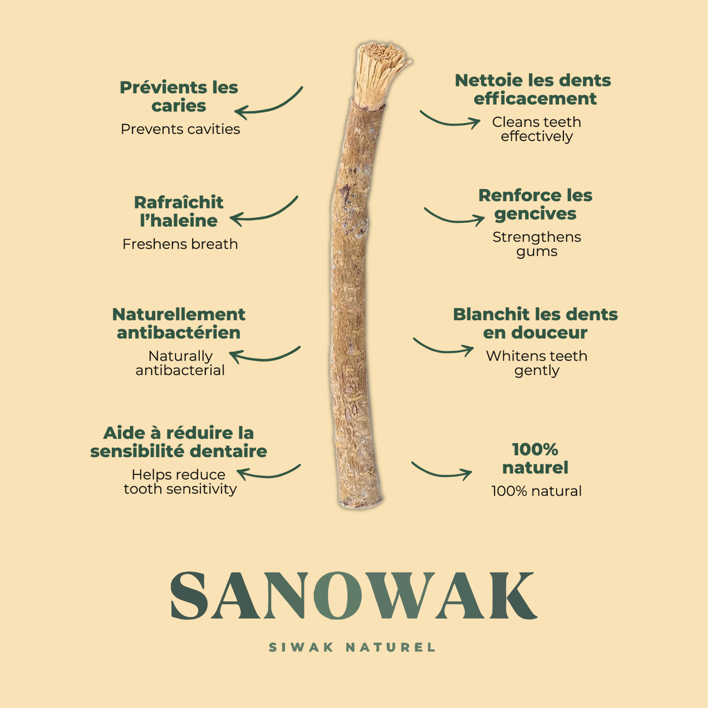 Poudre dentifrice de Siwak bio naturel (1 mois)