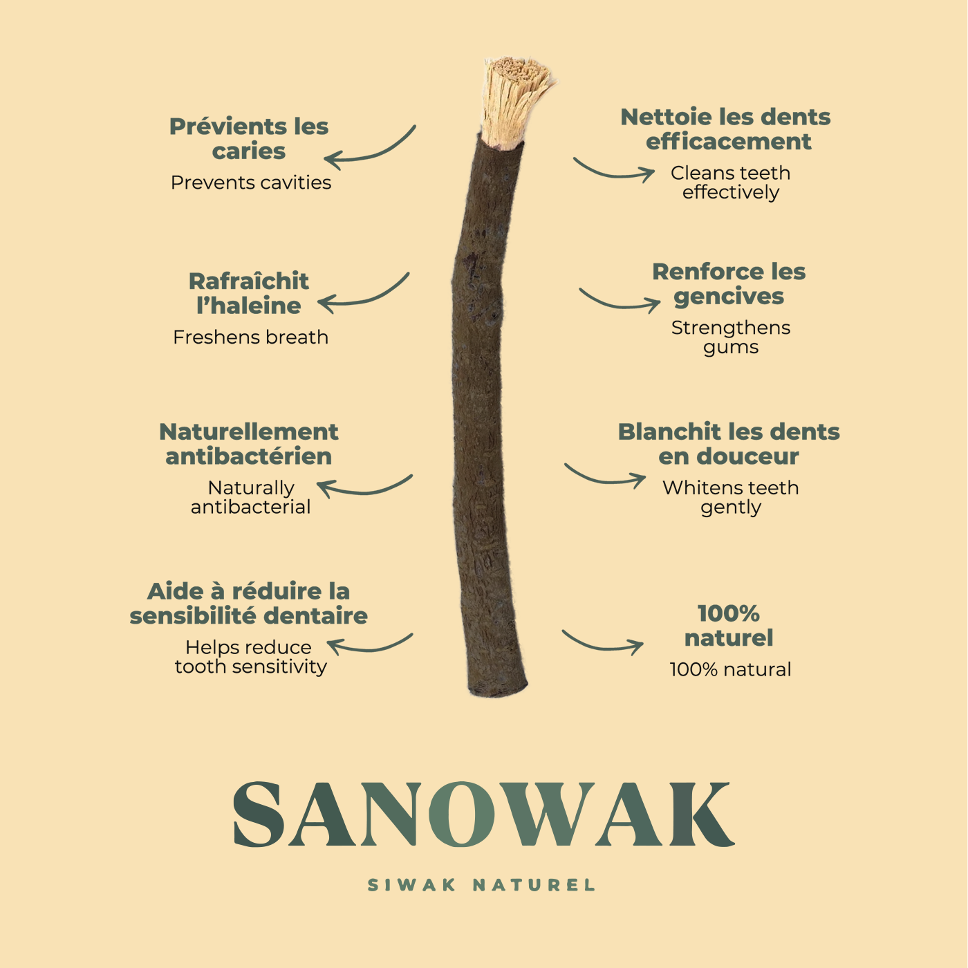 Bâton de siwak noir d'olivier