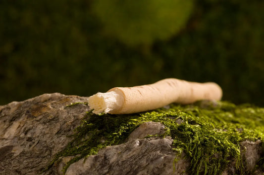 L'origine de siwak